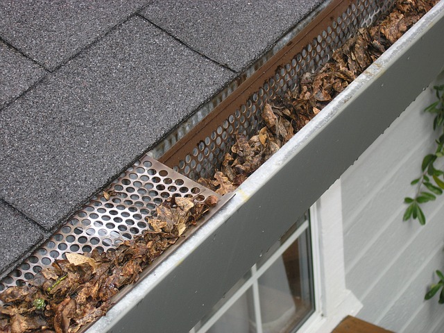 A gutter filled with leaves